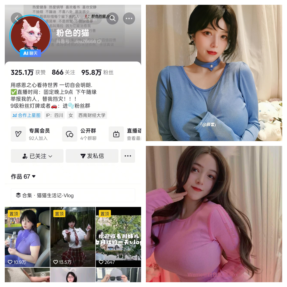 【精品资源】-粉色的猫秘语空间/幻宇星球合集 【精品资源】-粉色的猫秘语空间/幻宇星球合集