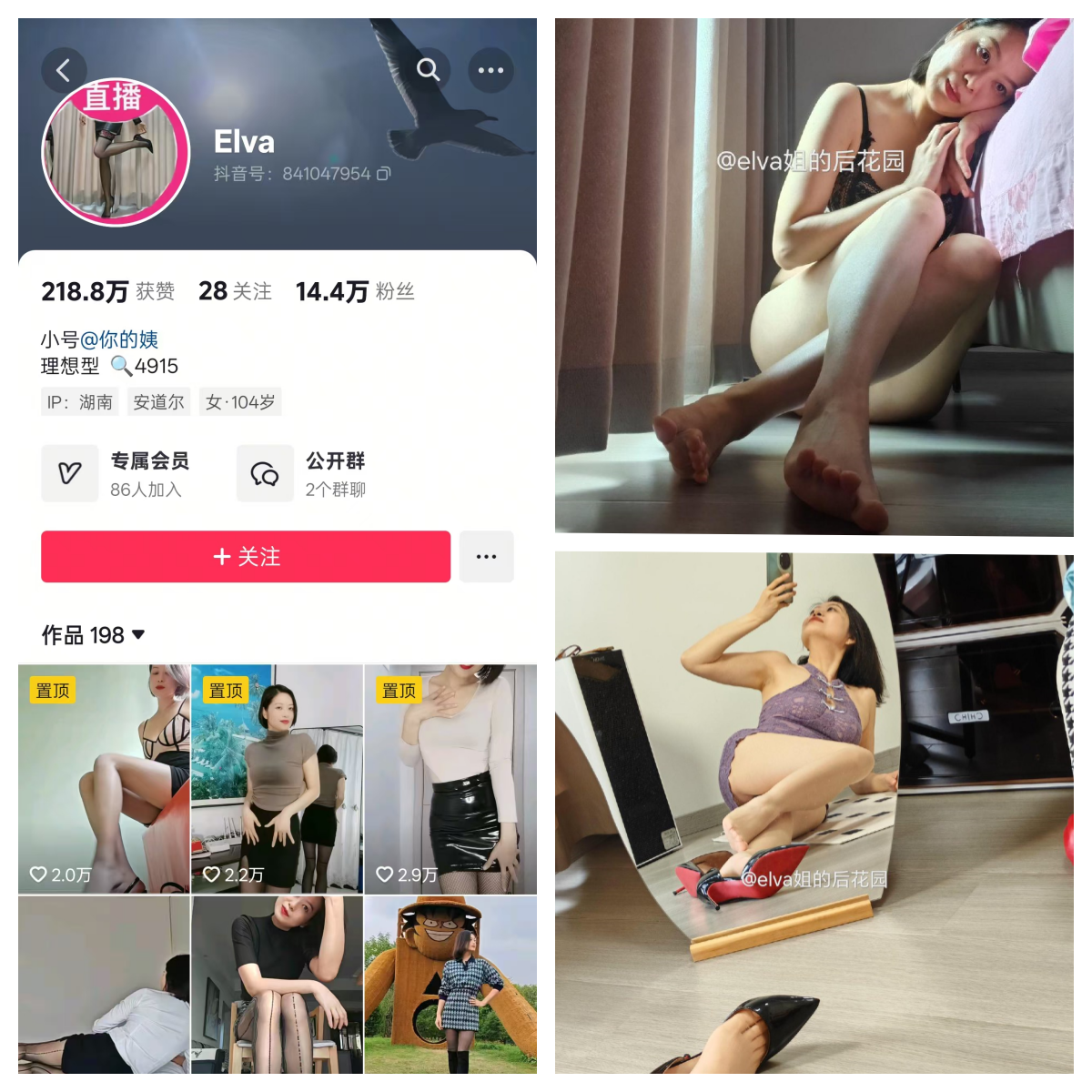 【作品推荐】-elva姐的后花园合集 【作品推荐】-elva姐的后花园合集