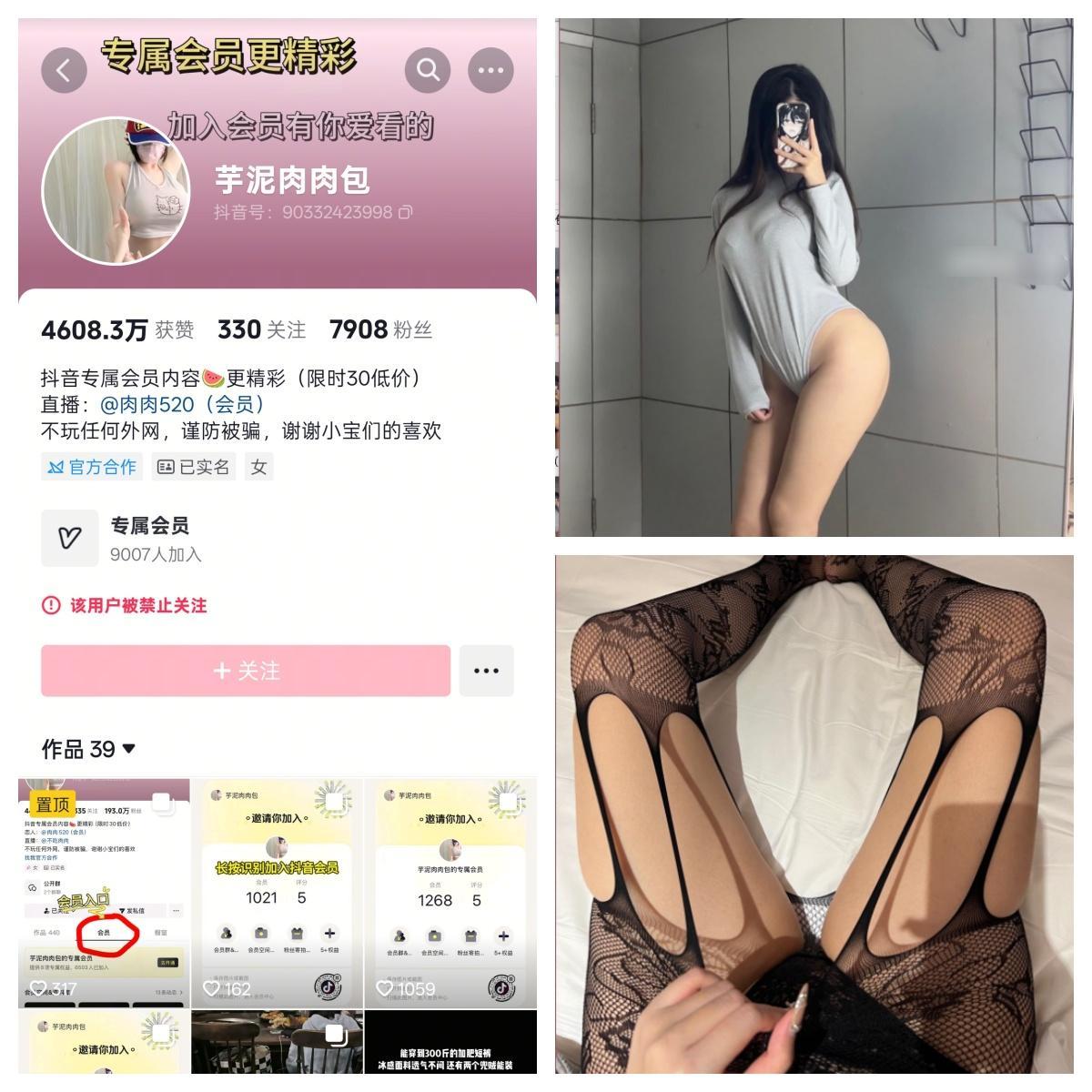 【完美佳人】-芋泥肉肉包秘语空间/幻宇星球合集 【完美佳人】-芋泥肉肉包秘语空间/幻宇星球合集